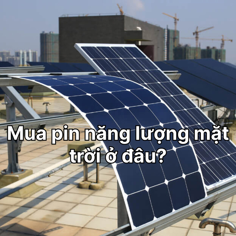 Mua pin năng lượng mặt trời ở đâu? Hướng dẫn chọn & địa chỉ uy tín